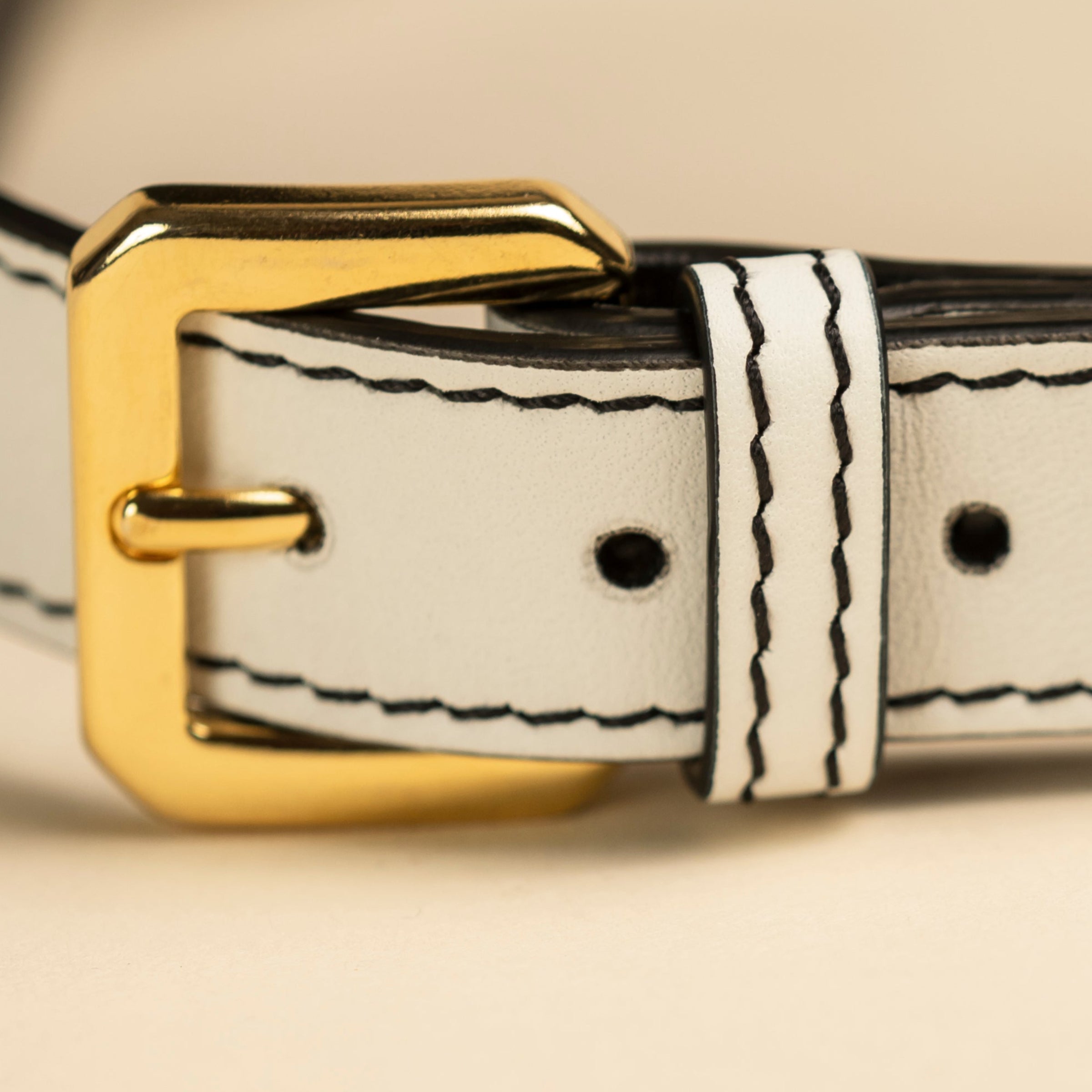 Pettorina Limited Edition - Multicolor Compasso d'Oro
