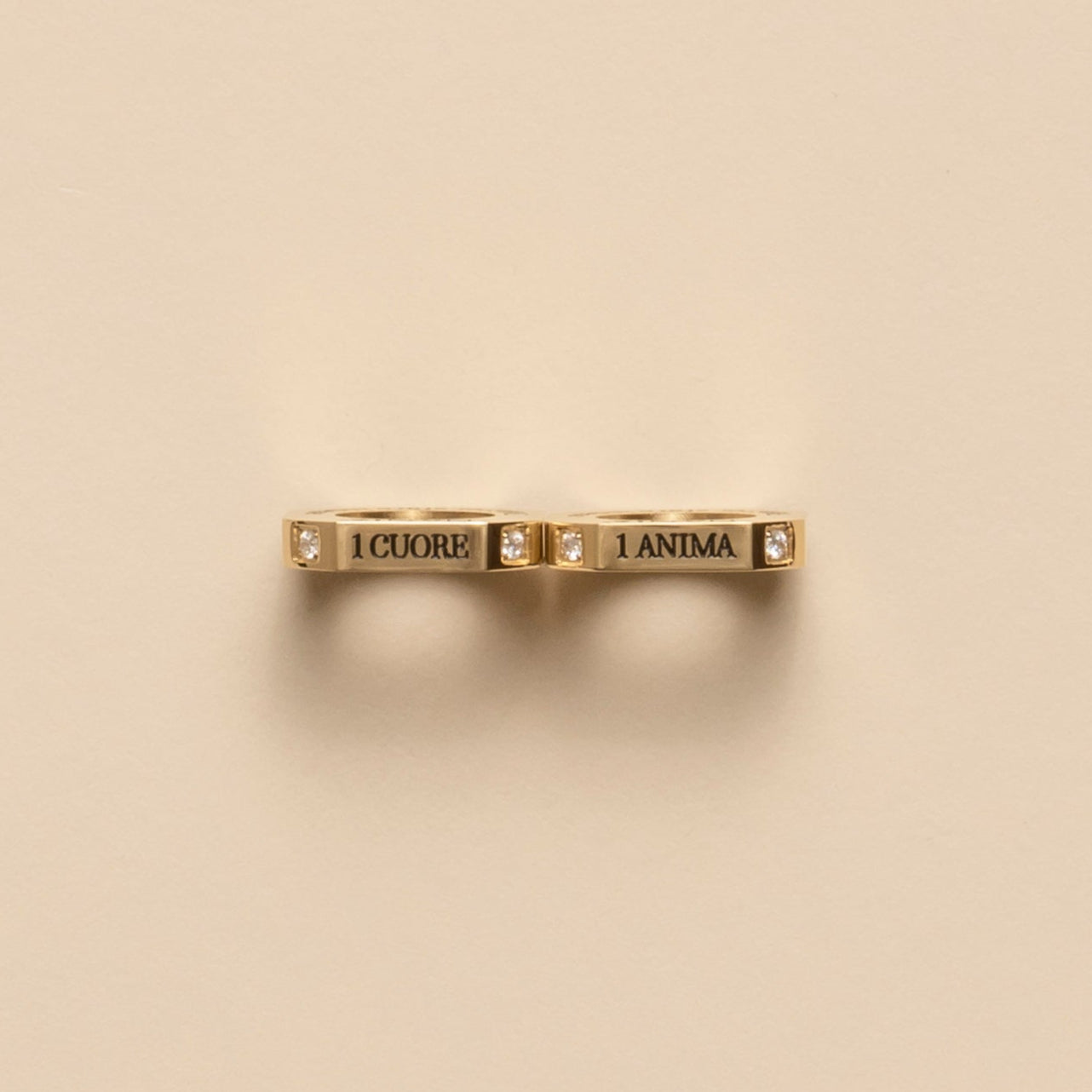 Coppia Ciondoli Gioielli Gemelli - PVD Oro 14kt con zirconi