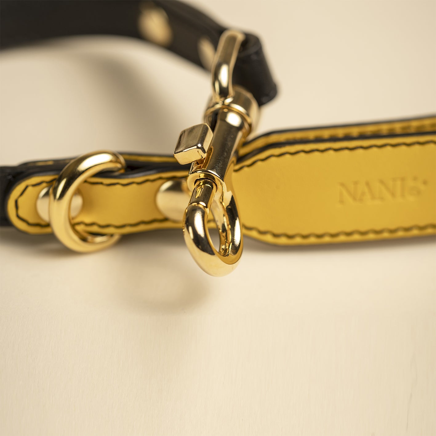 Guinzaglio Limited Edition - Multicolor Compasso D'oro