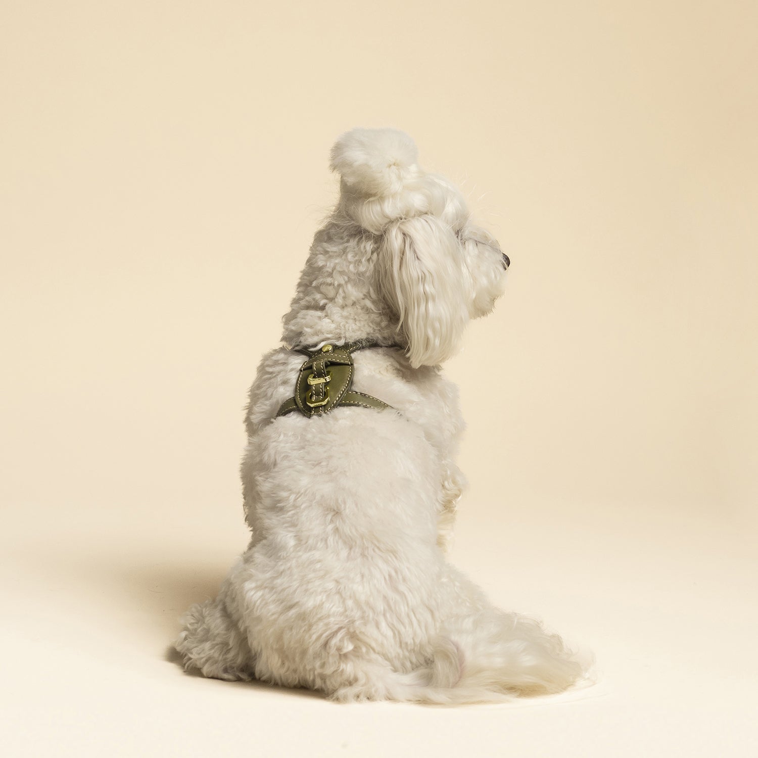 Pettorina Premium - Verde Harmony