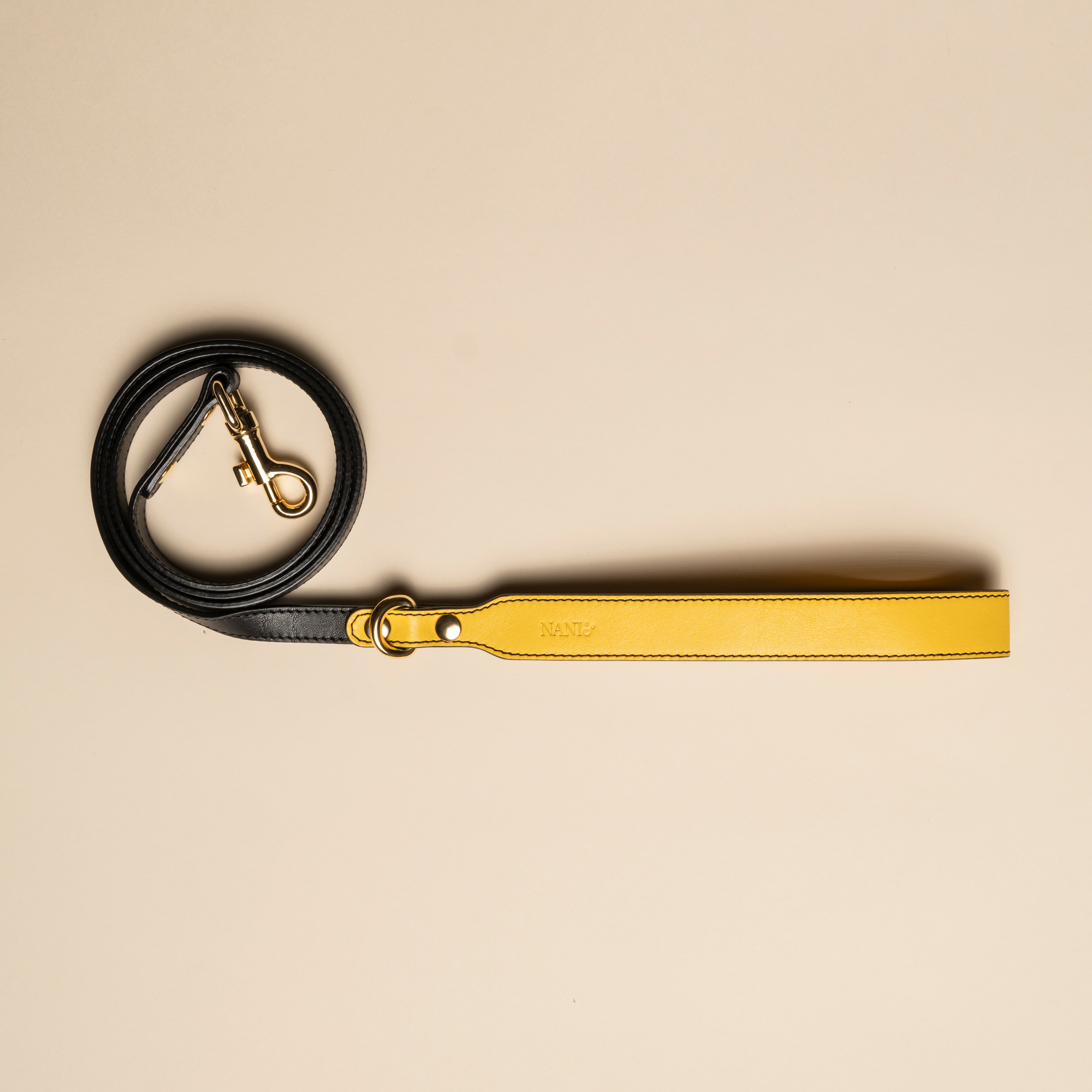 Guinzaglio Limited Edition - Multicolor Compasso D'oro